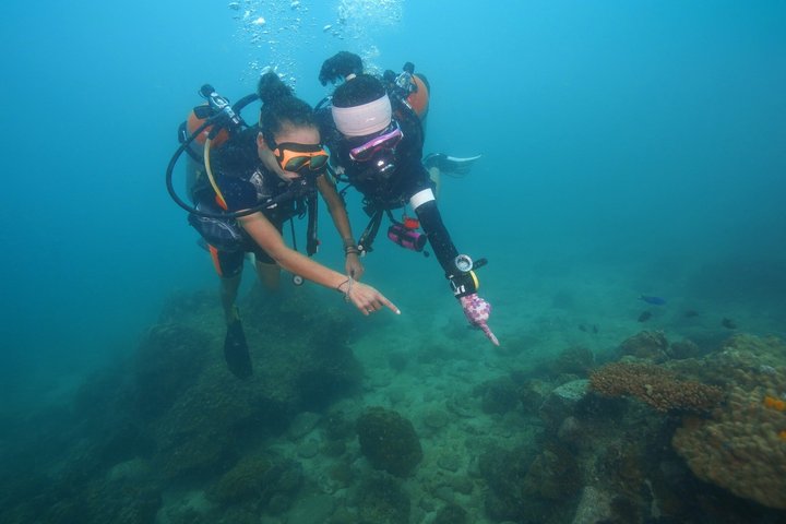 Entdecken Sie Sporttauchen, probieren Sie Tauchen für Anfänger aus (beginnt ab Koh Chang)