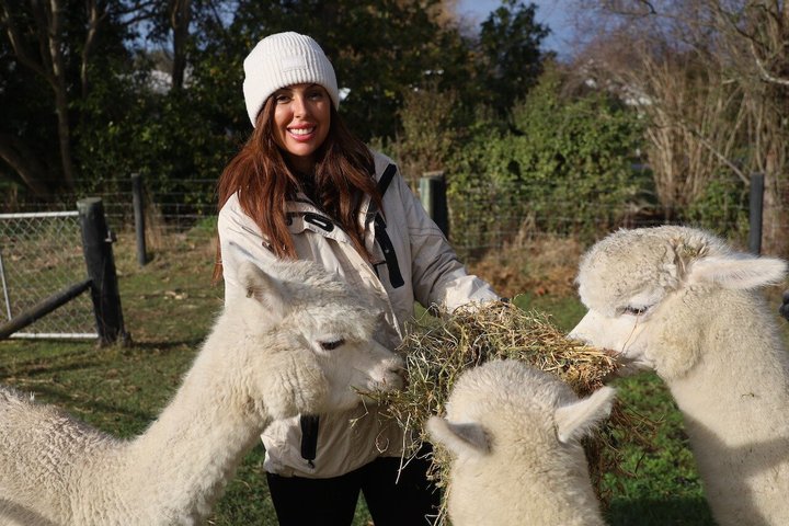 Christchurch Alpaca Farm Tour från Kaiapoi