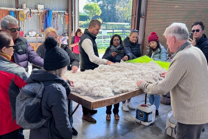 Christchurch Alpaca Farm Tour från Kaiapoi