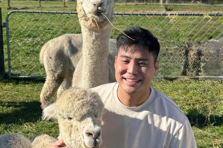 Christchurch Alpaca Farm Tour från Kaiapoi