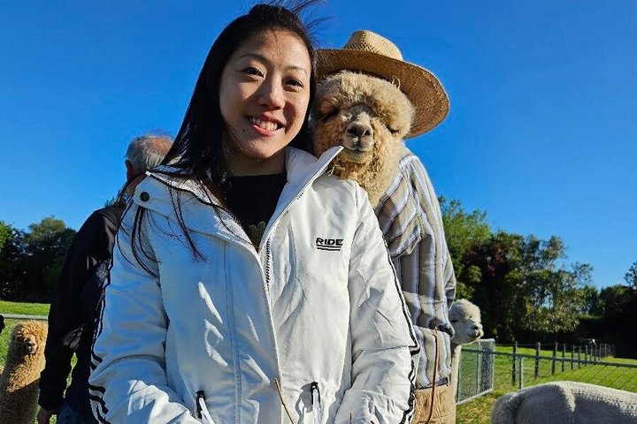 Christchurch Alpaca Farm Tour från Kaiapoi
