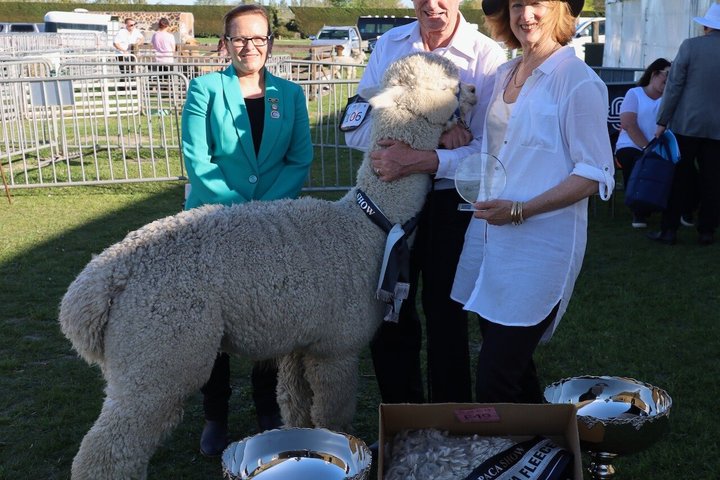 Christchurch Alpaca Farm Tour från Kaiapoi
