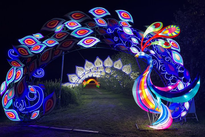 Brilho de Outono de Nova York Festival Imersivo de Lanternas Chinês