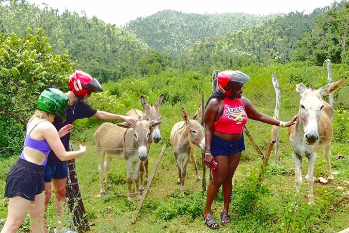 Tour en safari por la selva desde Montego Bay