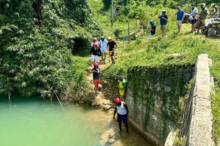 Tour en safari por la selva desde Montego Bay