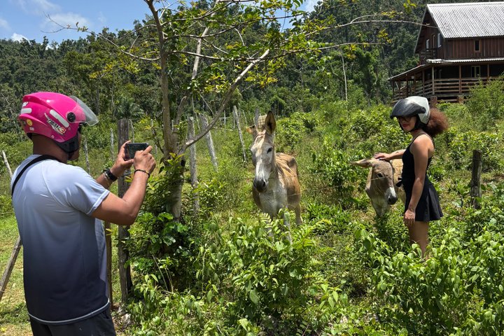 Tour en safari por la selva desde Montego Bay