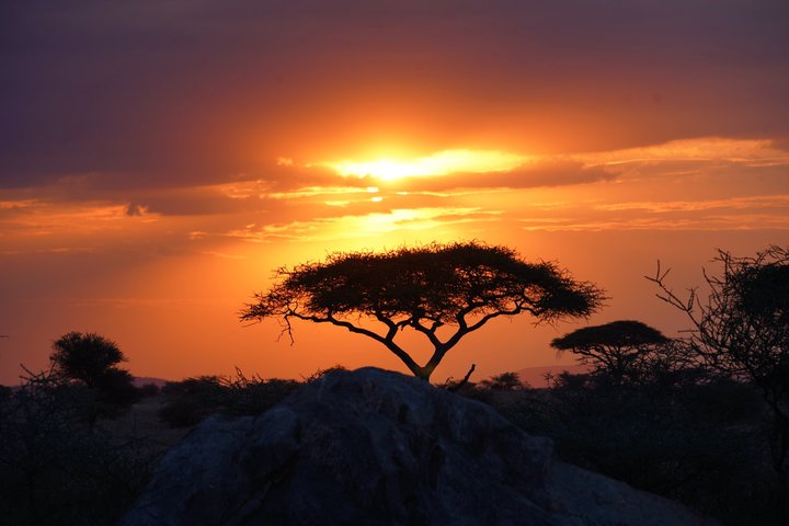 Hoteller i nærheden af Tarangire National Park