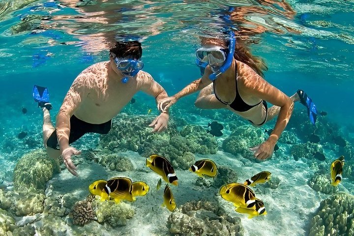 Snorkeling de día completo en el norte de Zanzíbar, tortugas y puesta de sol