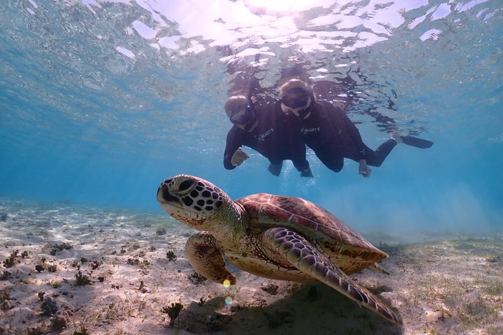 Tour privato di snorkeling di Miyakojima | Guida Inglese fluente