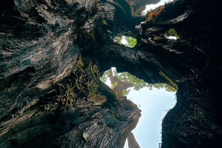 Floresta Fanal, Skywalk & Lava Pools: Expedição 4x4 da Madeira Ocidental