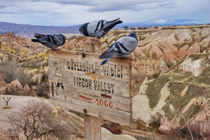 Turkije's Gouden Driehoek Tour : Pamukkale, Efeze, Cappadocië