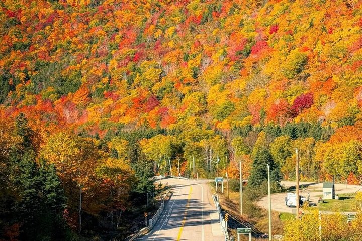 Cabot Trail : Excursion à Green Cove depuis le port de Sydney Cape breton