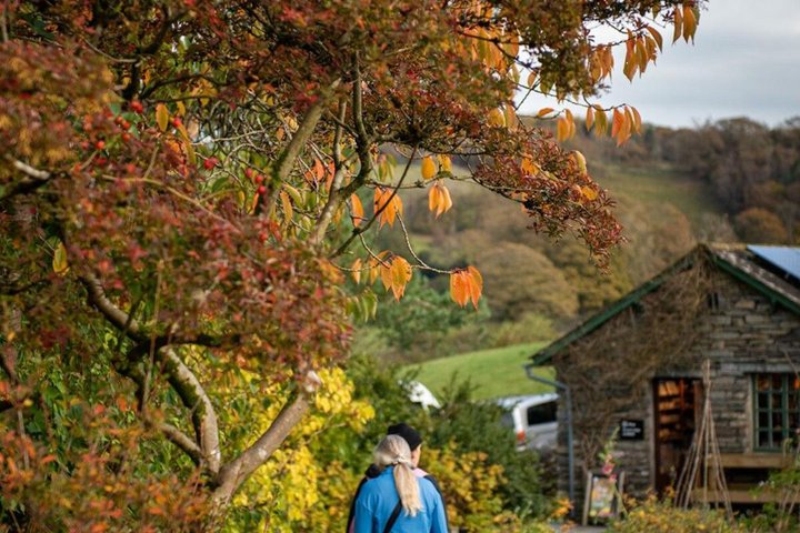 Visite ferroviaire et routière du Lake District au départ de Manchester