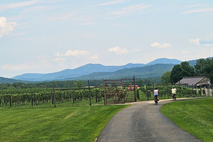 Crozet Virginia Weingut und Fahrradtour Erfahrung