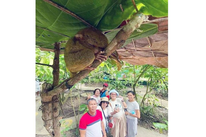 Restauranter i nærheten av Chocolate Hills, Tarsier & Loboc River