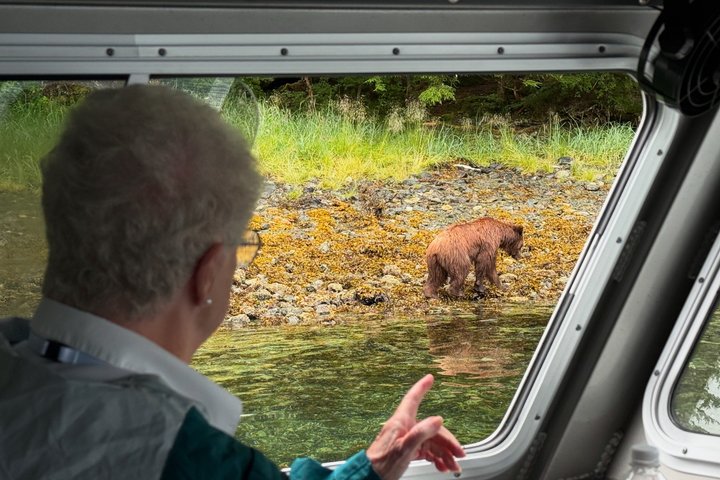Sitka Walbeobachtung & Wildtier | Am meistgebuchte Tour in Sitka