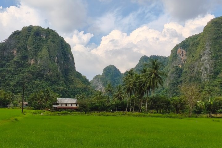 Excursion d'une journée au parc préhistorique de Leang-Leang et au karst de Rammang-Rammang