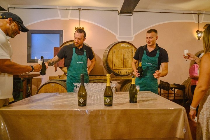 Pisa, Siena, San Gimignano met lunch en wijnproeverij bij een wijnmakerij