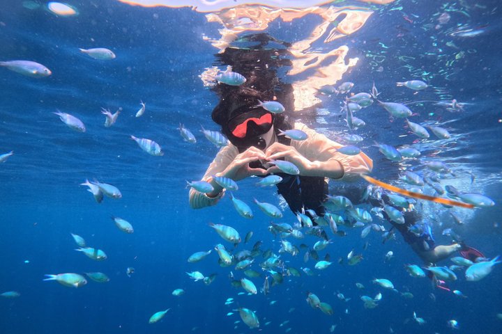 Bohol Balicasag Snorkelen en Maagdeneilandhoppen met Lunch