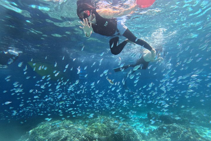 Bohol Balicasag Snorkelen en Maagdeneilandhoppen met Lunch