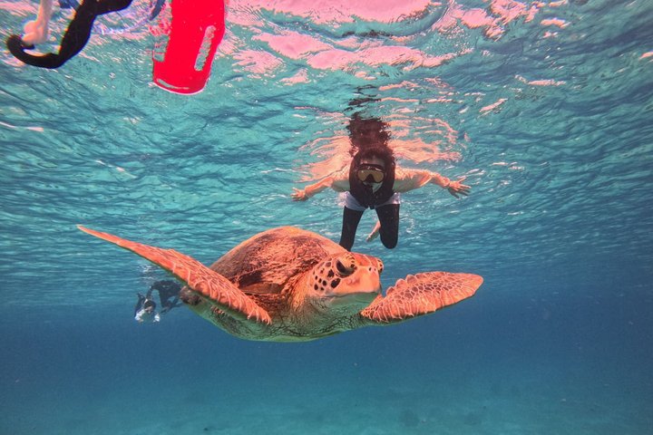 Bohol Balicasag Snorkelen en Maagdeneilandhoppen met Lunch