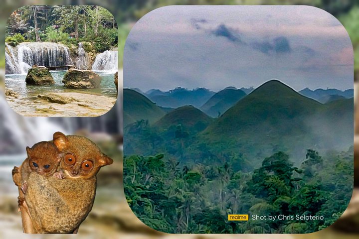 Hoteller i nærheden af Tarsier, Waterfalls & Chocolate Hills Tour