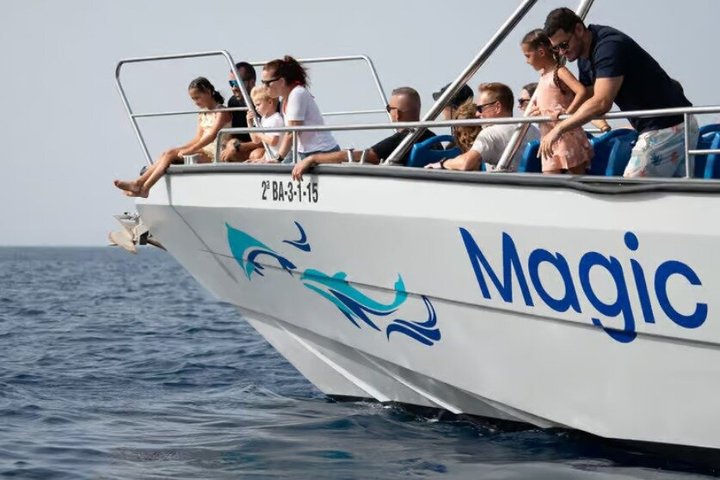 Morro Jable: 2 heures d'observation magique des dauphins et des baleines avec boissons et arrêt de baignade.