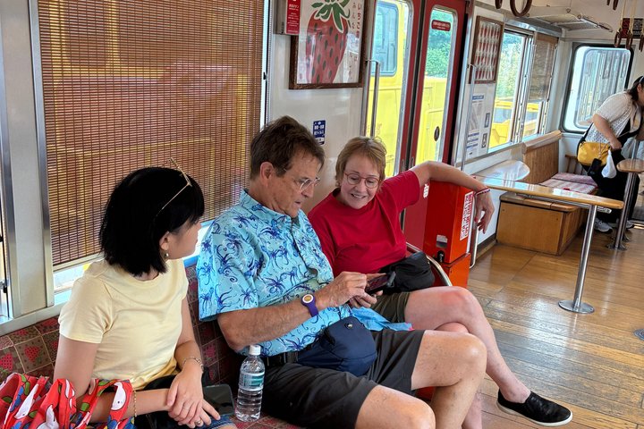 Lokalt tog med Cat Stationmaster og Wakayama Highlights