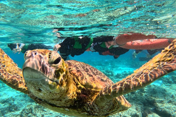 Bohol Balicasag Snorkelen en Maagdeneilandhoppen met Lunch