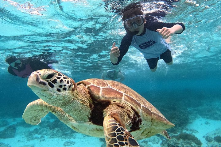 Bohol Balicasag Snorkelen en Maagdeneilandhoppen met Lunch
