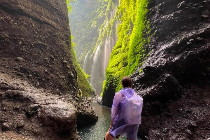 1-dagers Bromo privat dagstur med Madakaripura-fossen