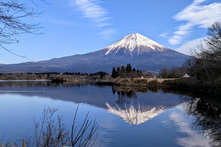Mount Fuji og Shiraito Falls biltur fra Cruise havn