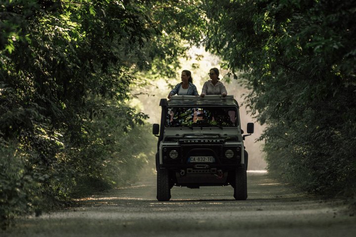 4x4 Camargue Safari 4h - Avgång från Arles