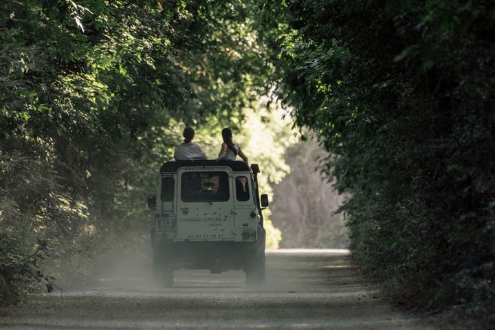 Safari 4x4 Camargue 4t - Privat tur - Avgang fra Arles