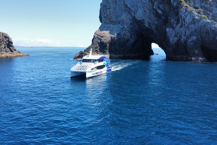 Hole in the Rock Scenic Cruise inkludert delfiner og øystopp