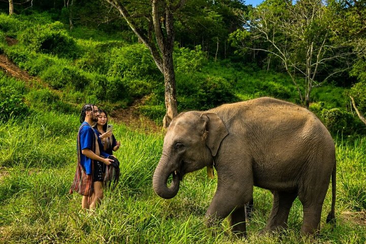 3 em 1: Excursão Doi Inthanon, Santuário de Elefantes e Trilha de Trekking