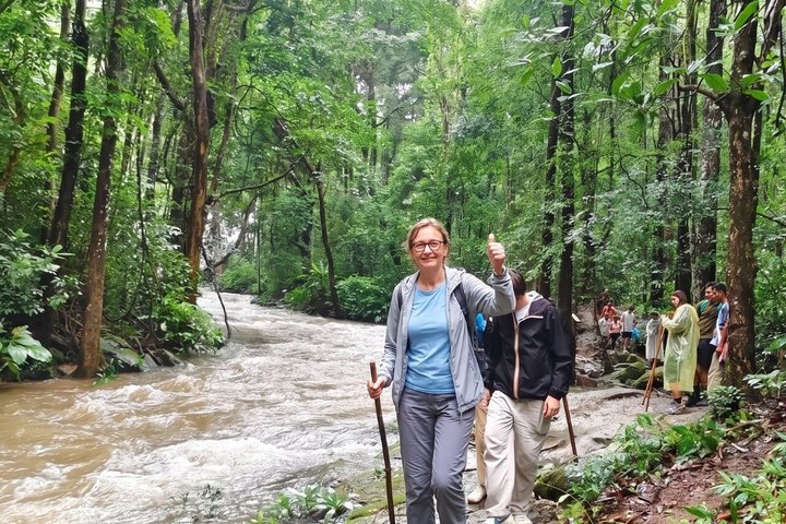 3 em 1: Excursão Doi Inthanon, Santuário de Elefantes e Trilha de Trekking
