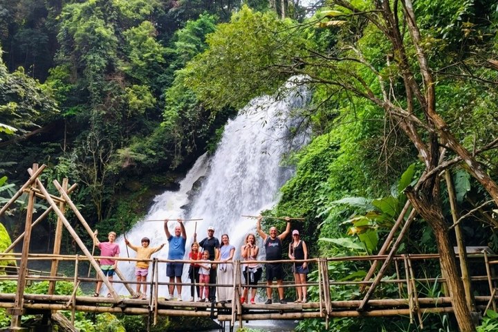 3 em 1: Excursão Doi Inthanon, Santuário de Elefantes e Trilha de Trekking