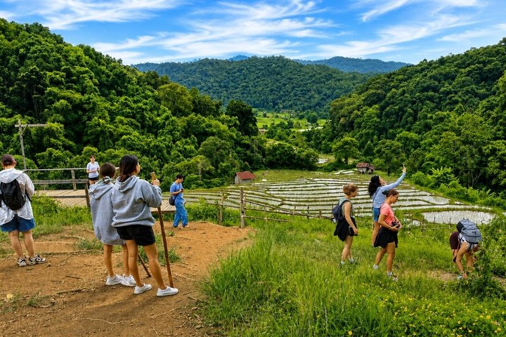 3 em 1: Excursão Doi Inthanon, Santuário de Elefantes e Trilha de Trekking