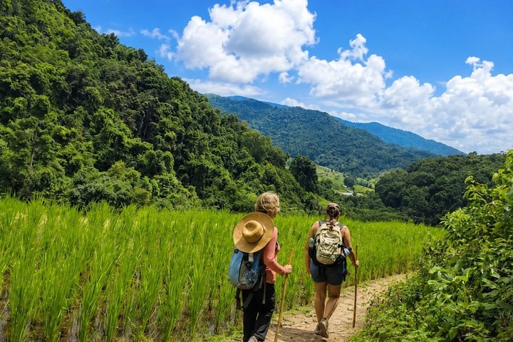 3 em 1: Excursão Doi Inthanon, Santuário de Elefantes e Trilha de Trekking