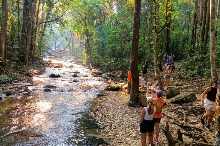 3 em 1: Excursão Doi Inthanon, Santuário de Elefantes e Trilha de Trekking