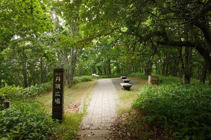 Kushiro Marsh, Tancho og lokale marked Privat bil tur og Vejleder