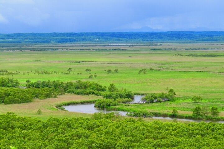 Kushiro Marsh, Tancho og lokale marked Privat bil tur og Vejleder