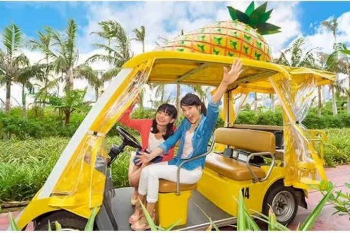 Okinawa HIPHOP-BUSS En kurstur|Churaumi Aquaium, Kori Island