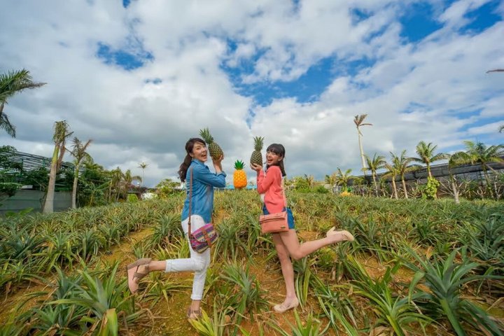 Okinawa HIPHOP-BUSS En kurstur|Churaumi Aquaium, Kori Island