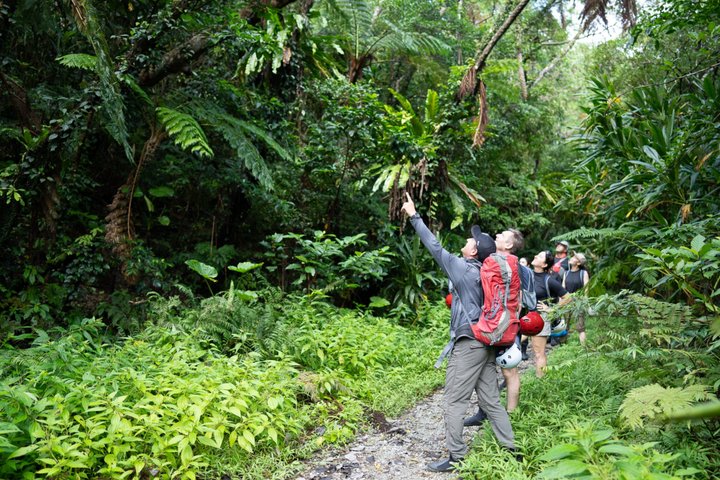 Okinawa Jungle Trails & Watervallen – Privétour door Yanbaru