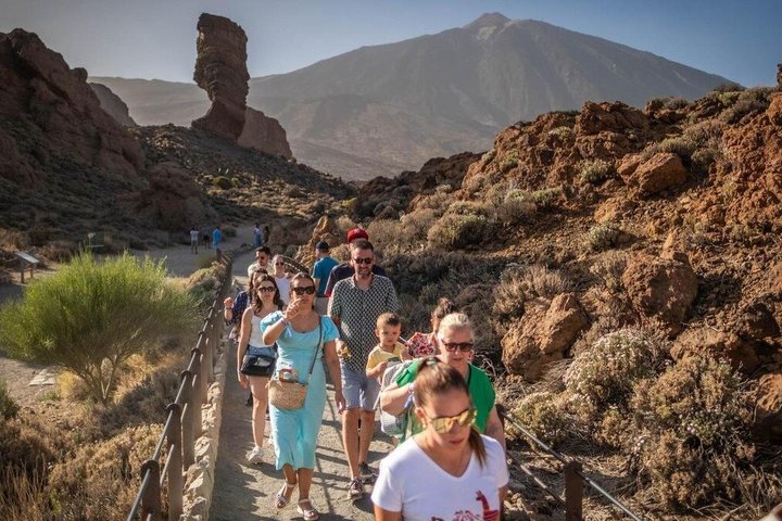 Teide Halvdagstur med buss gjennom nasjonalparken