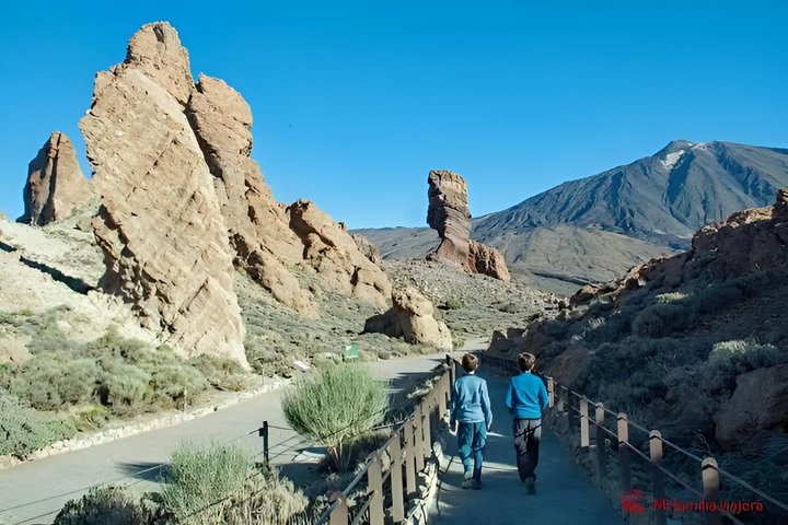 Teide Halvdagstur med buss gjennom nasjonalparken
