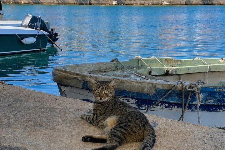 Zadar: 3 Eilanden Hopping Tour met snorkelen of zonsondergang boottocht