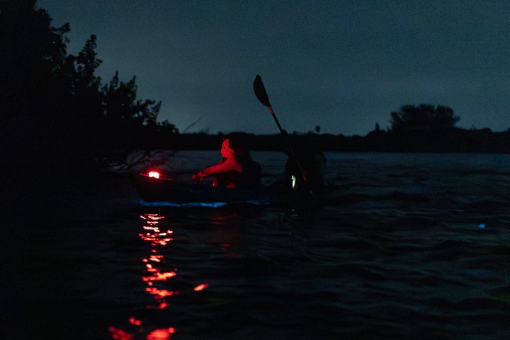 Kajakkturer og utleie. Delfiner, sjøkuer og bioluminescens!